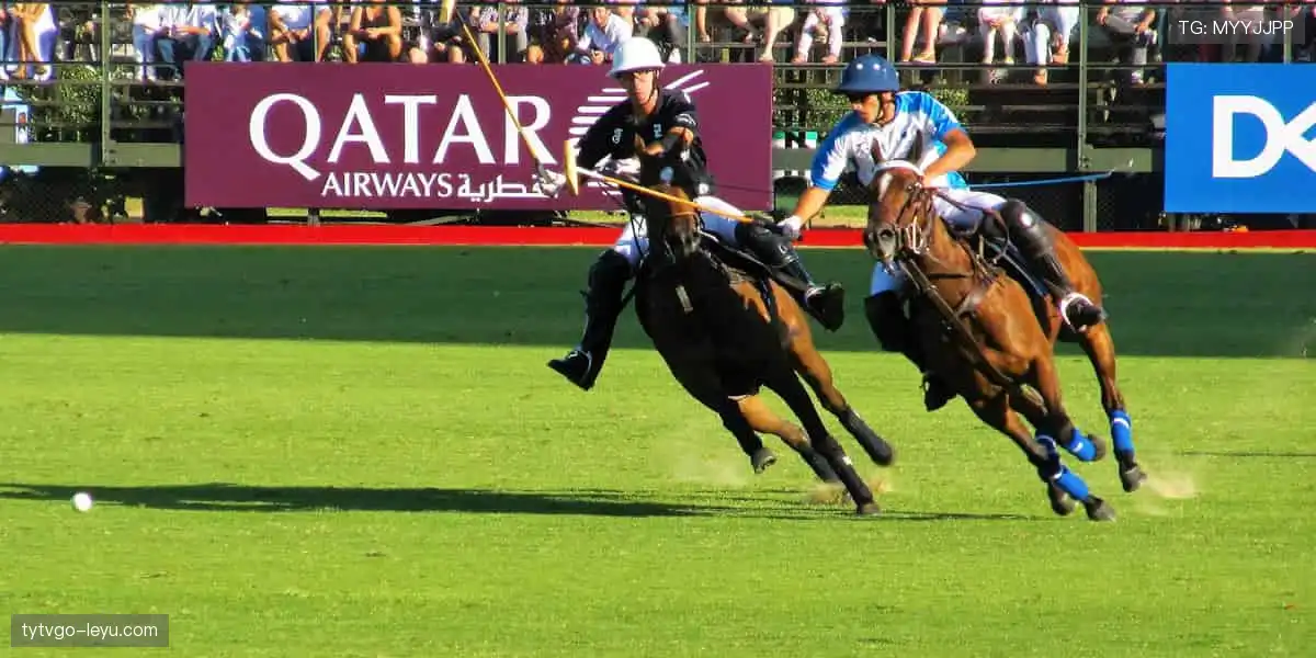 点燃热血，见证每一个传奇时刻！🏆🔥